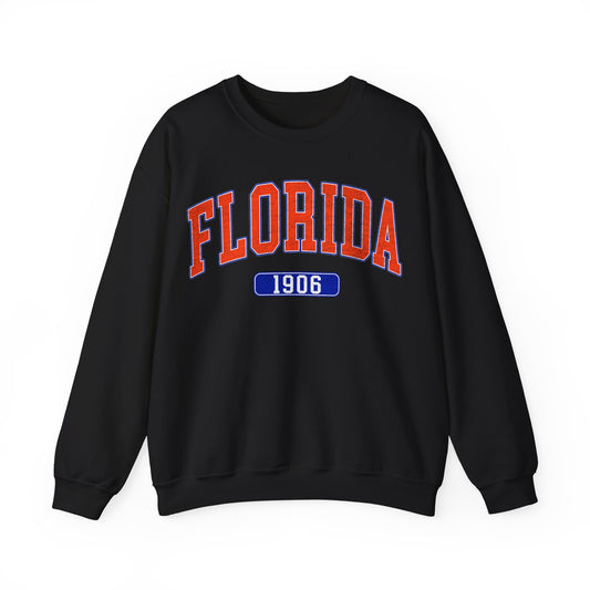 Florida 1906 Graphic Sweatshirt, Sweatshirt for Girl, Football Aesthetics Hoodie, Varsity College Sweatshirt, Sports Fan Gift