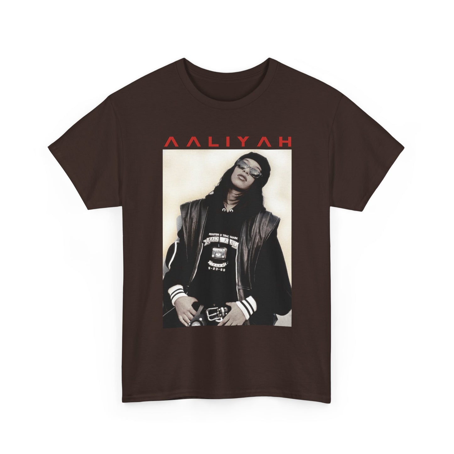 AALIYAH TSHIRT | Aaliyah Sweatshirt | Aaliyah Princess Of R&B Hiphop RnB Rapper | T-Shirt Tshirt Shirt Tee | Sweater Sweatshirt