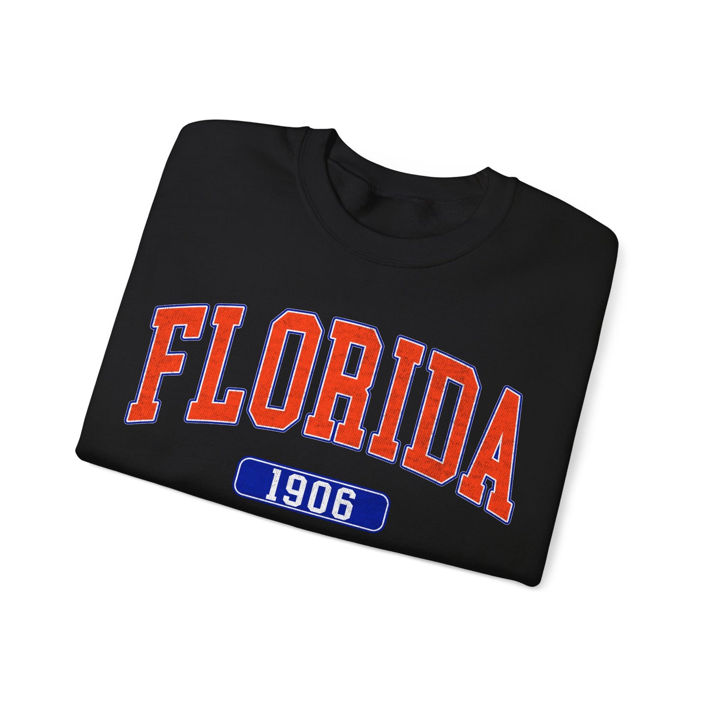 Florida 1906 Graphic Sweatshirt, Sweatshirt for Girl, Football Aesthetics Hoodie, Varsity College Sweatshirt, Sports Fan Gift